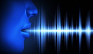 Speech and Voice Recognition