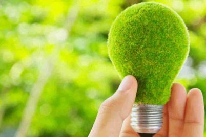 national-energy-conservation-day-1.jpg